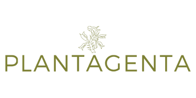 Plantagenta
