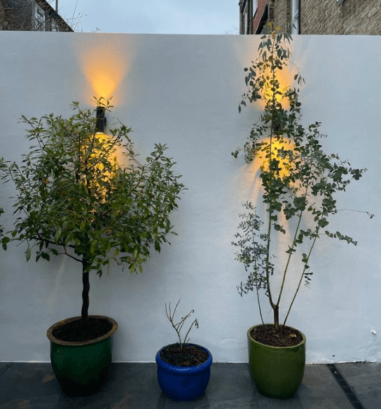 Chiswick Courtyards, image 3
