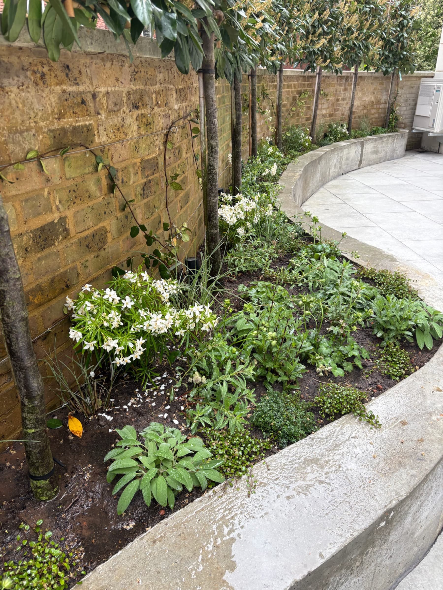 Curved Courtyard, image 3