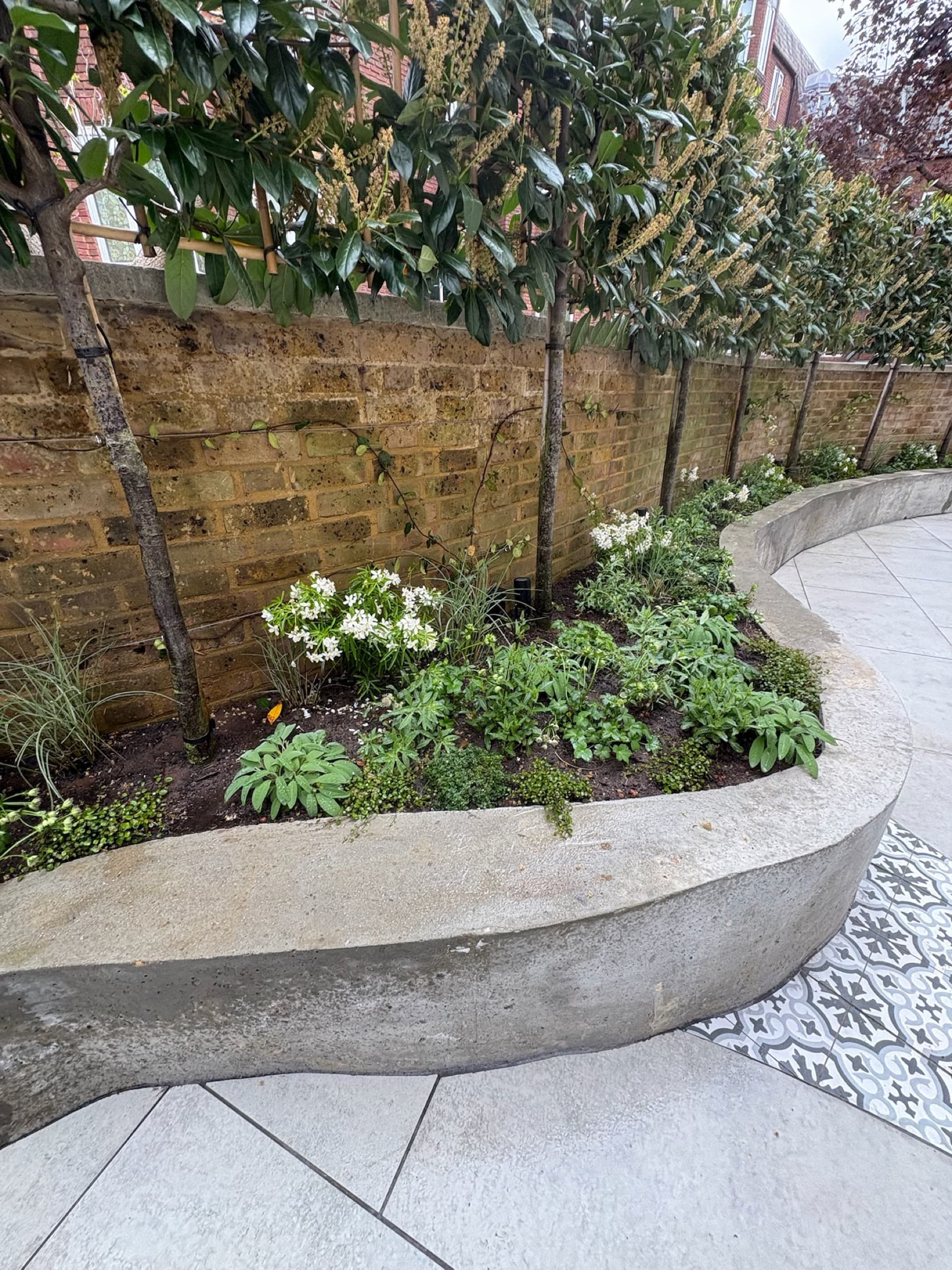 Curved Courtyard, image 4