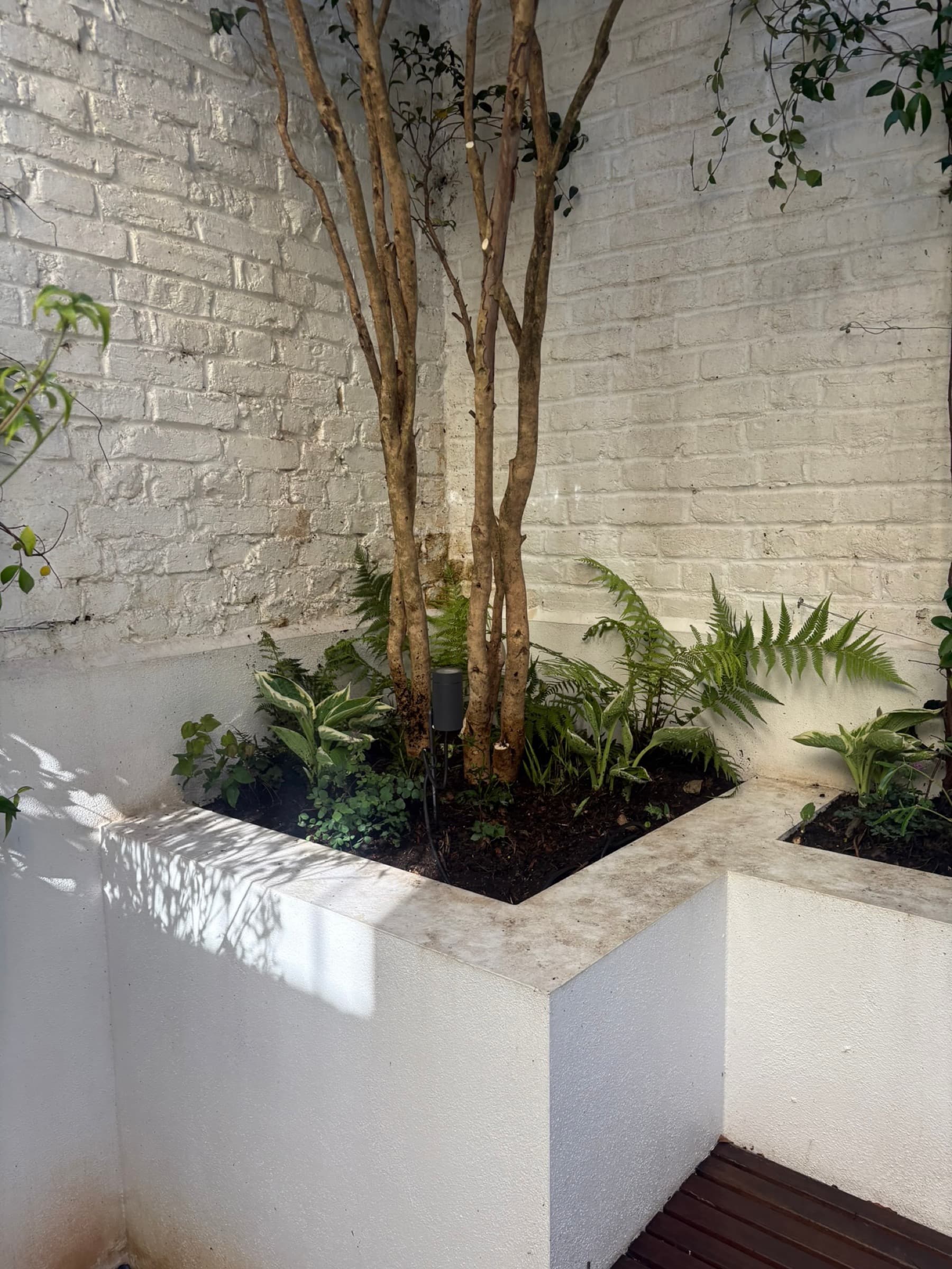 Curved Courtyard, image 5