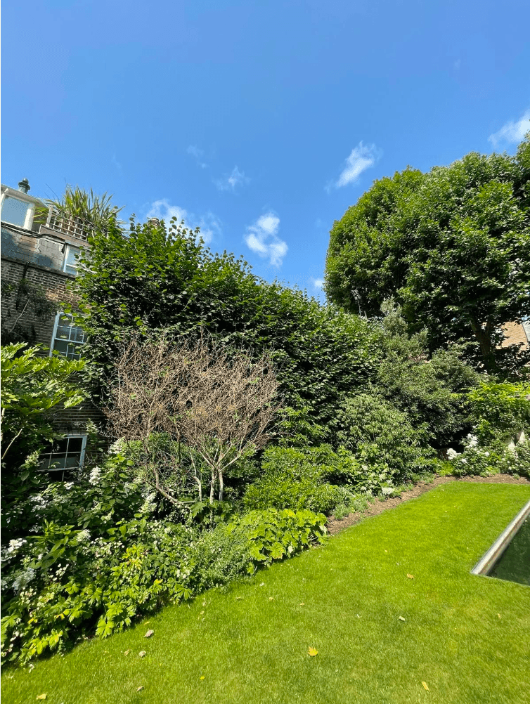 London Landscape, image 5