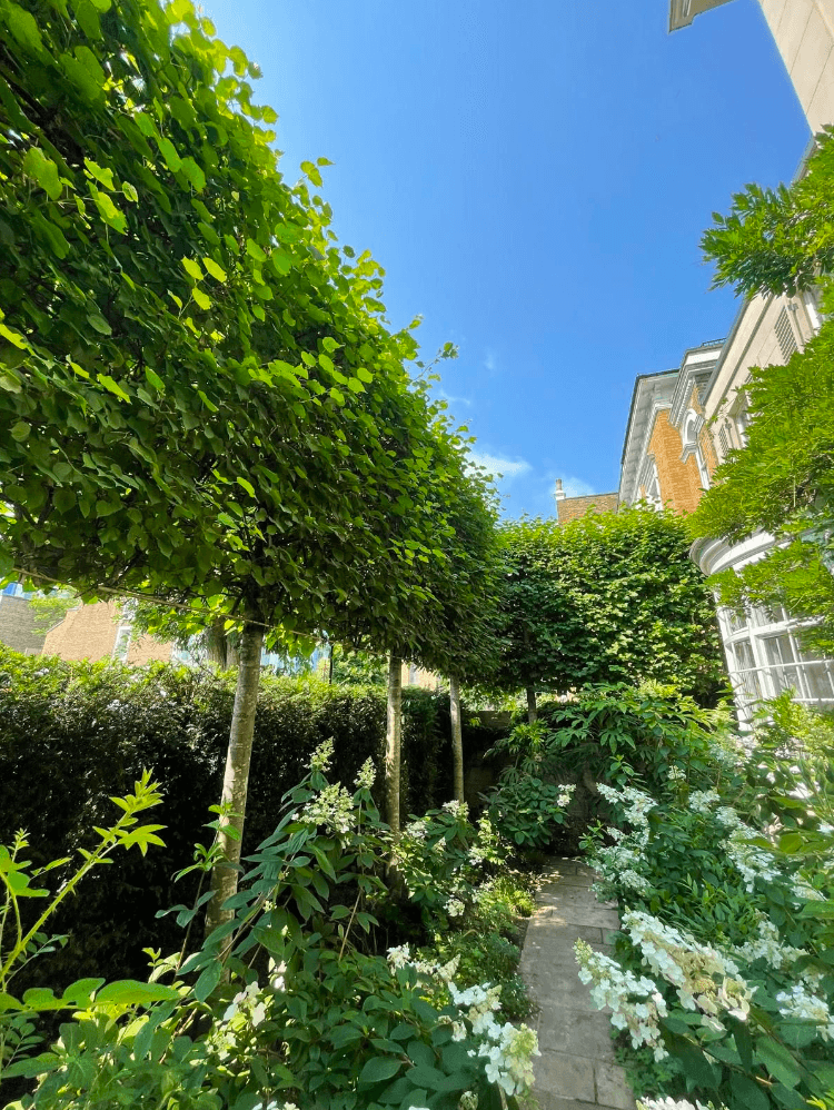 London Landscape, image 7