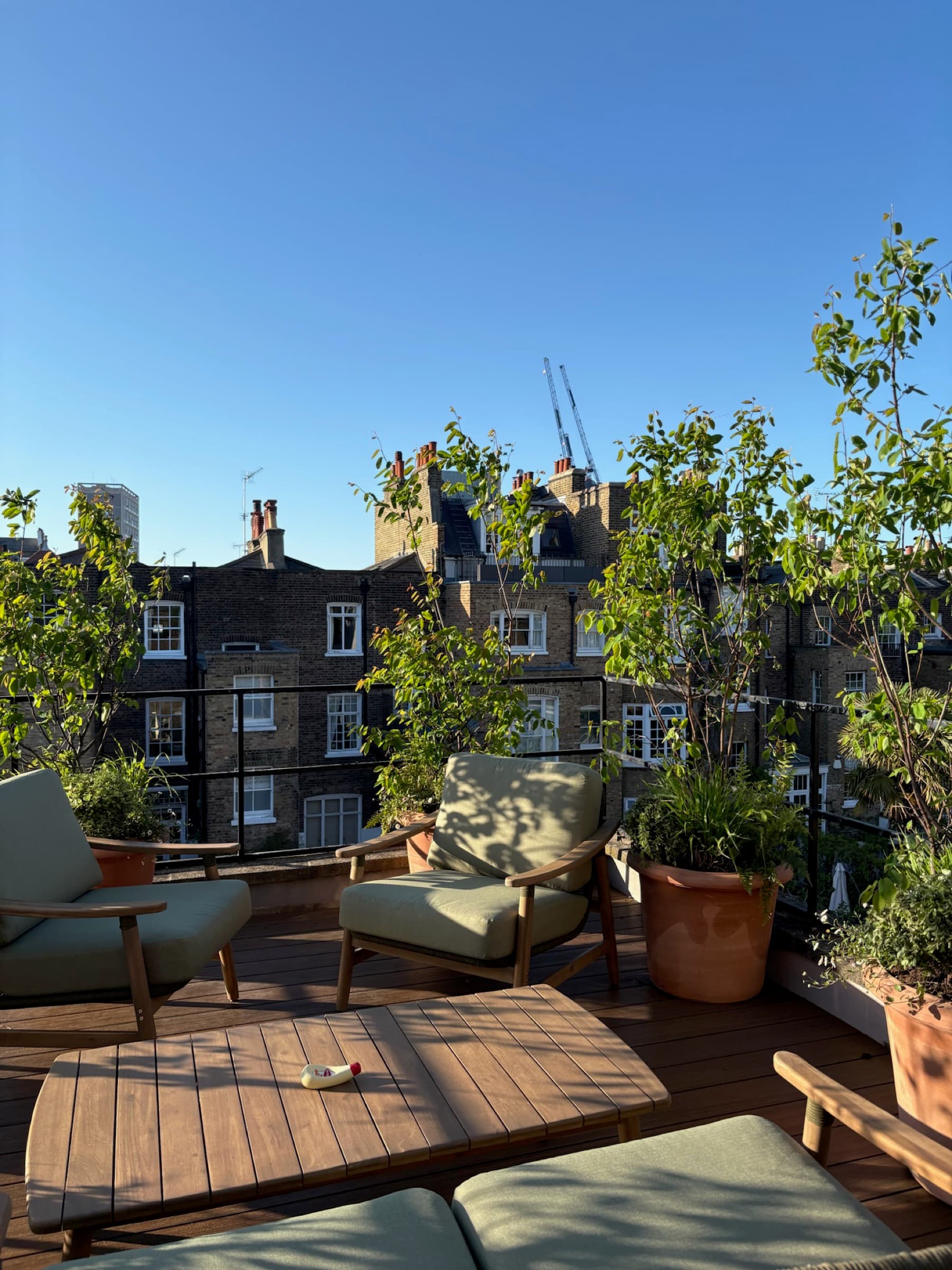 West London Roof Terrace, image 2