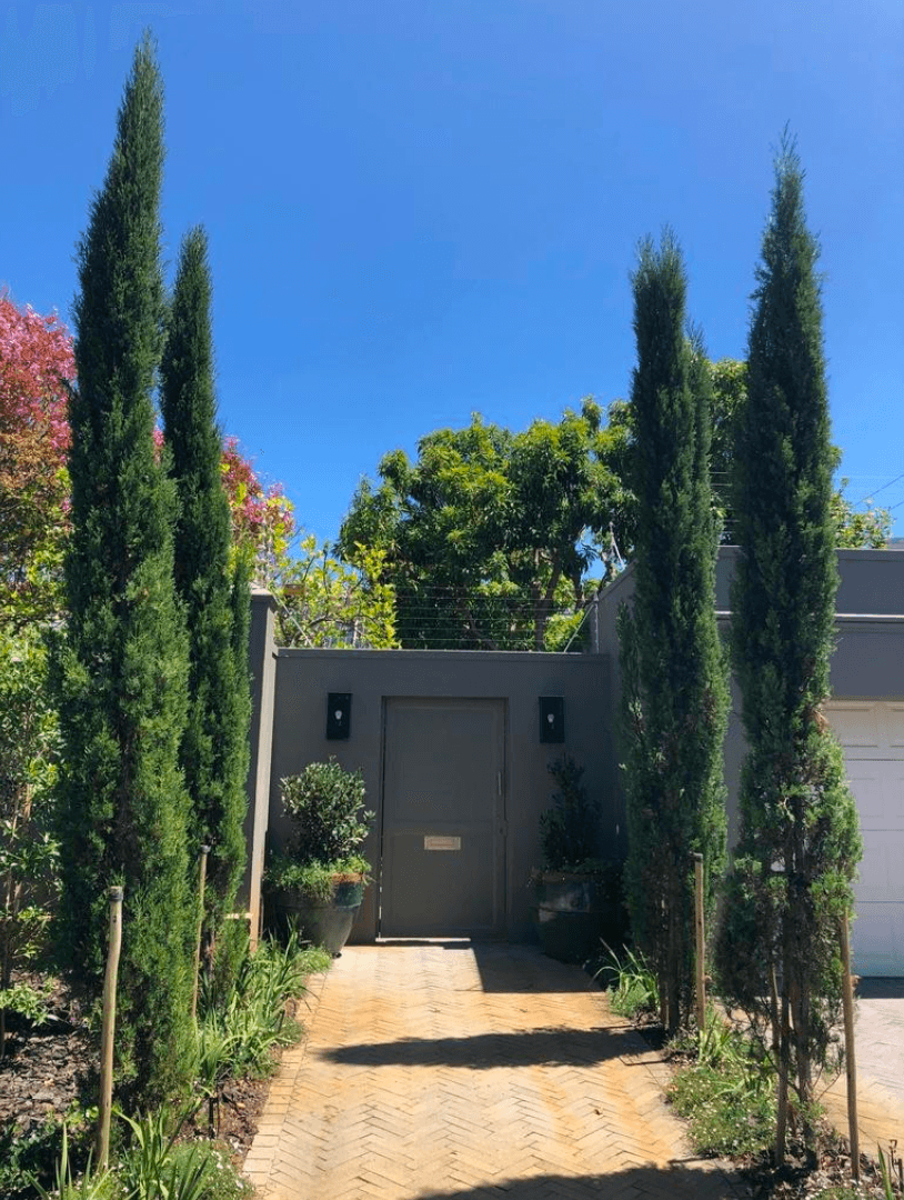 South African Gardens, image 2