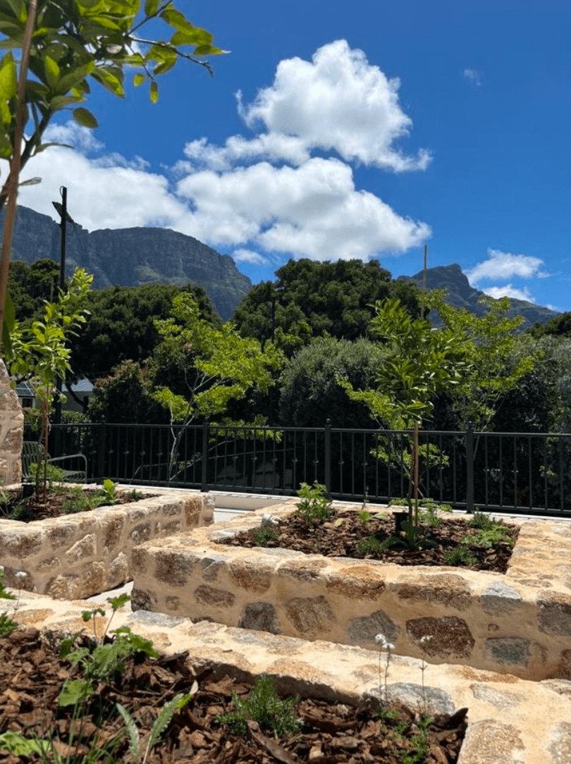 South African Gardens, image 6