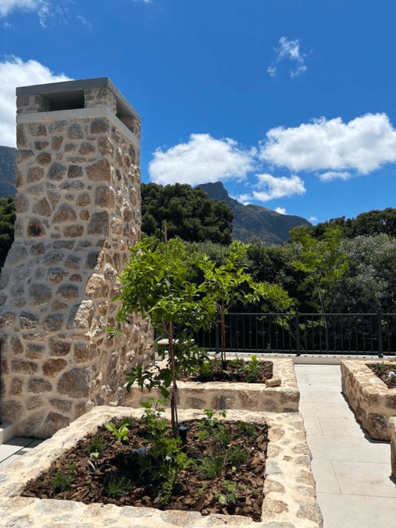 South African Gardens, image 7